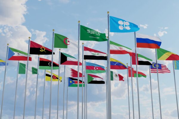 The Organization of the Petroleum Exporting Countries (OPEC)